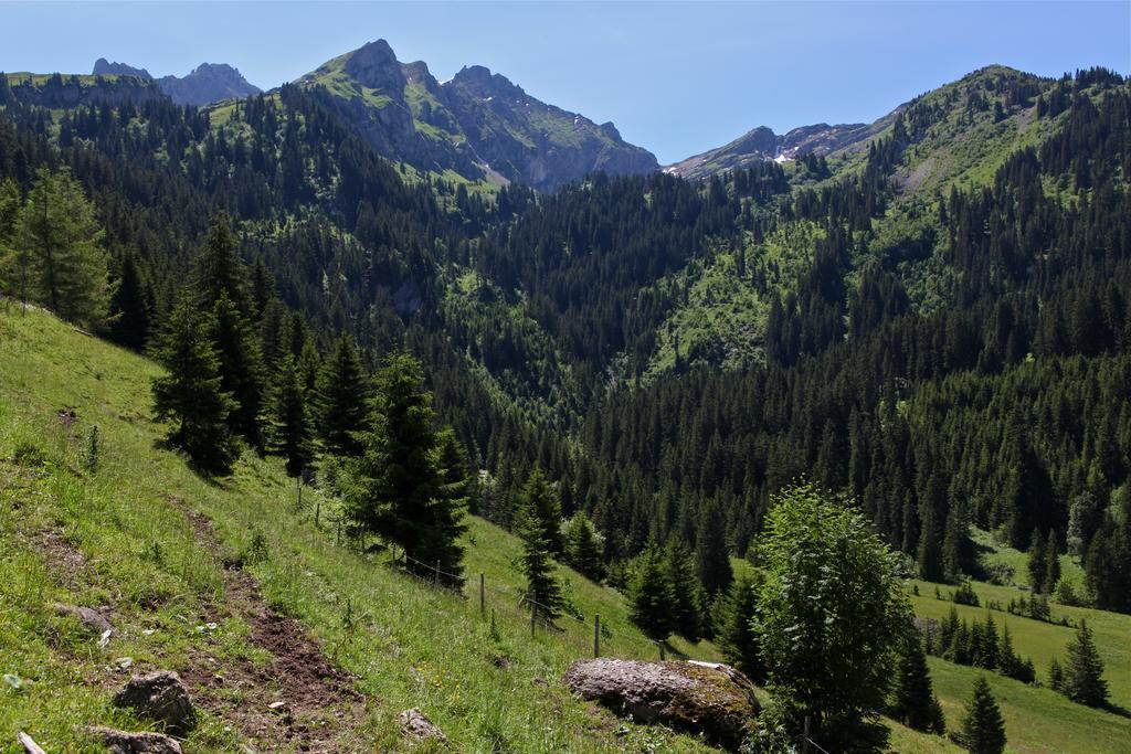 Hotel Le Relais Alpin Les Mosses Экстерьер фото