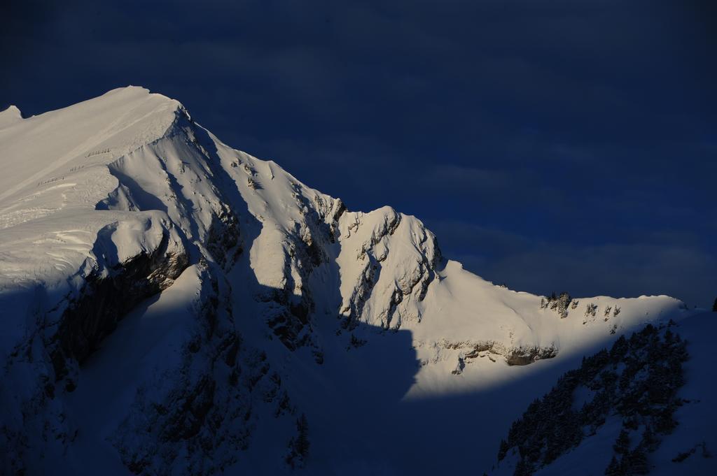 Hotel Le Relais Alpin Les Mosses Экстерьер фото