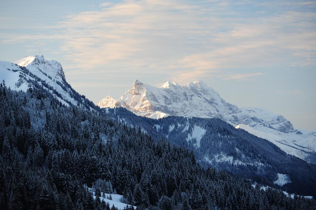 Hotel Le Relais Alpin Les Mosses Экстерьер фото